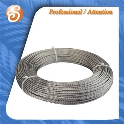 Issiq botirilgan 7x 7 3. {2}} mm galvanizeed po'lat simlari uchun apparat supermarketlari uchun arqon